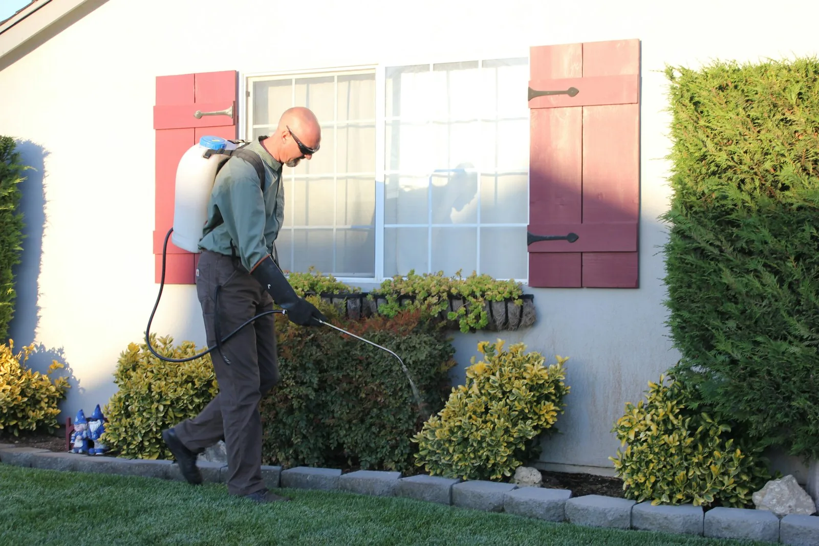 A pest control technician treating the exterior of a house