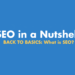Search Engine Optimization in a Nutshell